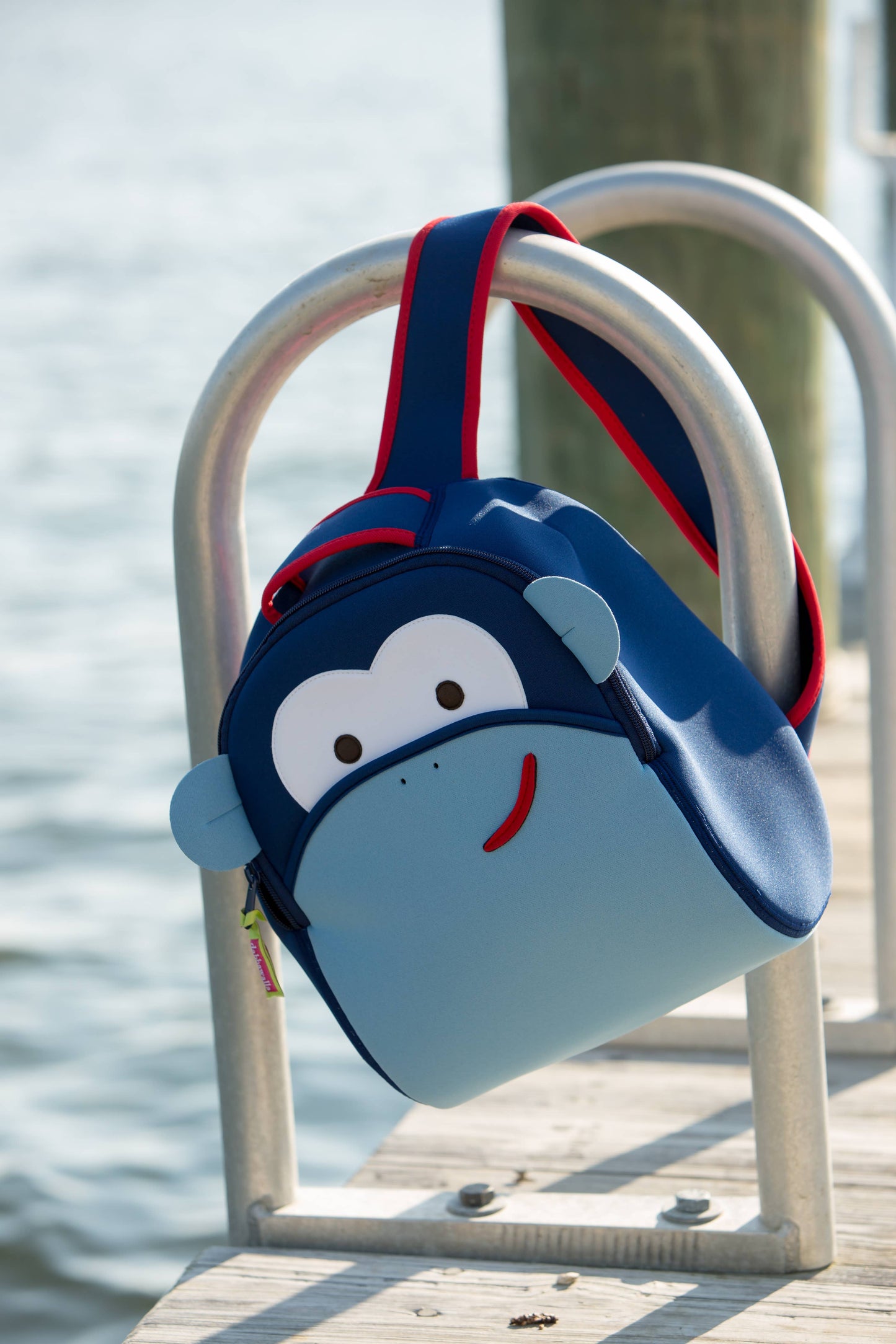 Dabbawalla Machine Washable Preschool Backpack, Blue Monkey