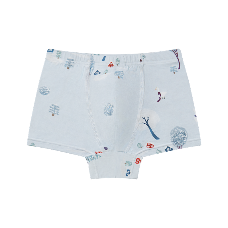 Nest Designs Boy Boxer Briefs (2 Pack) - Winter Fun