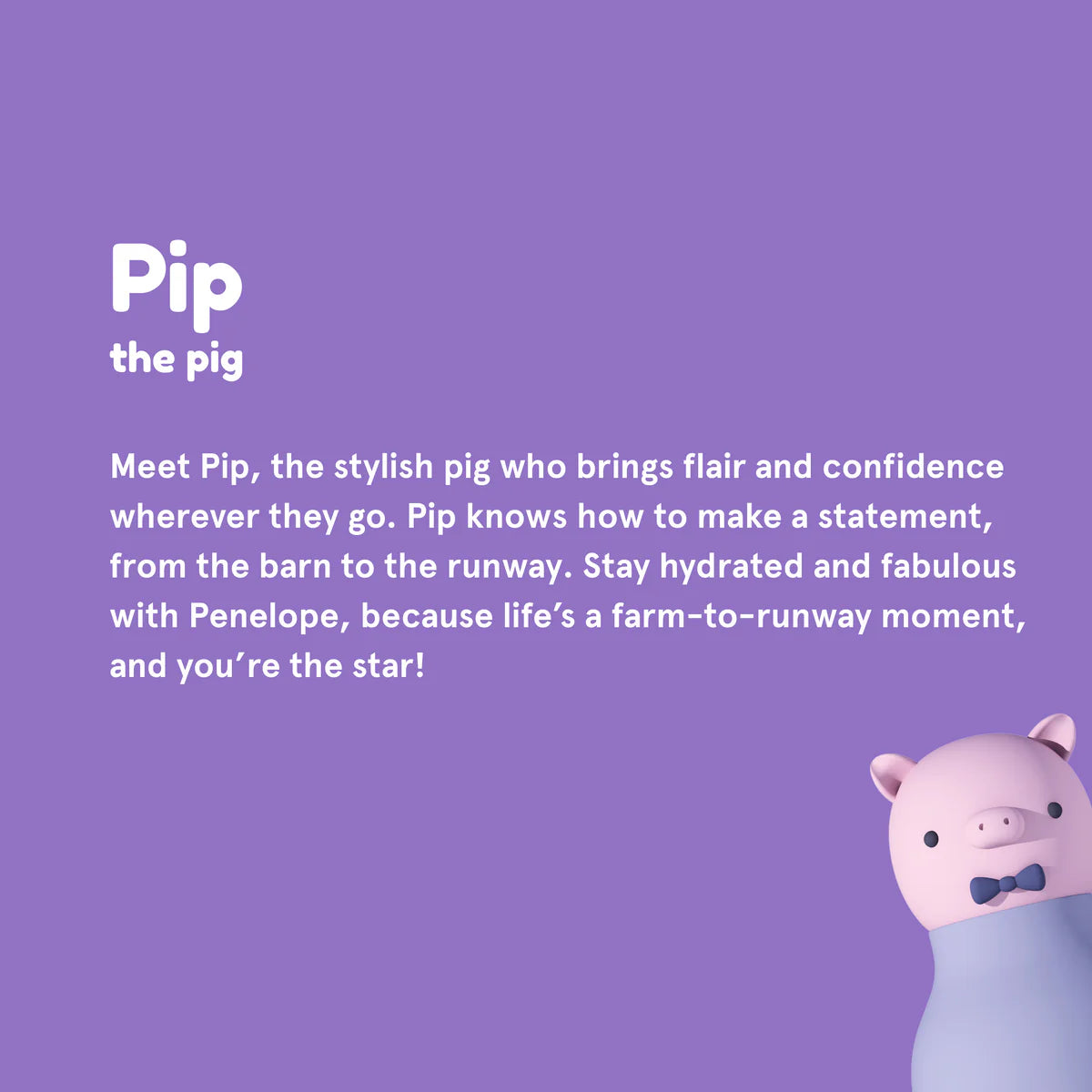 Asobu Bestie Bottles - Piggy