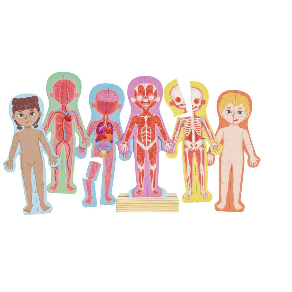 Hape® HUMAN BODY MAGNETIC PUZZLE