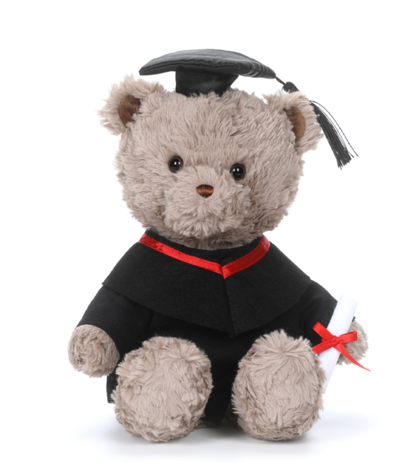 Mchugs Graduated Caring Bear - 25CM