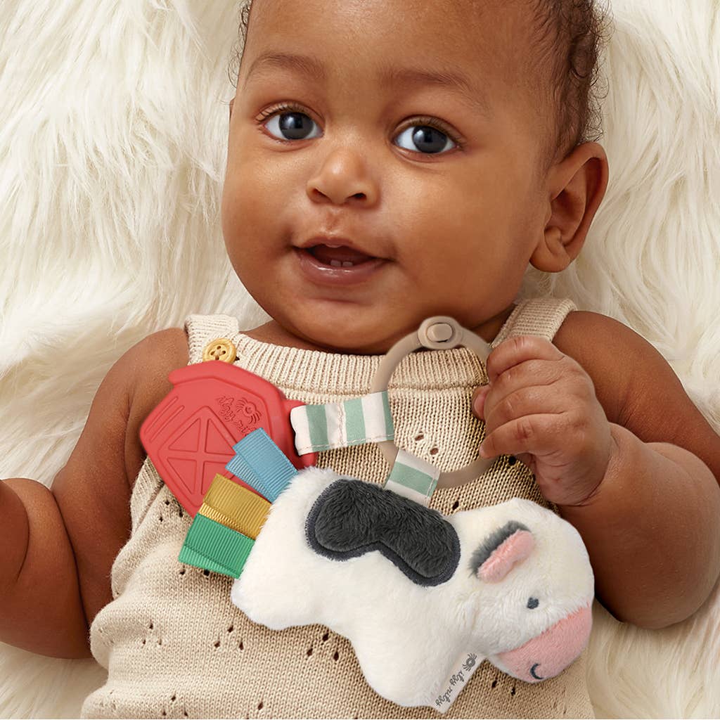 Itzy Pal™ Plush + Teether: Strawberry
