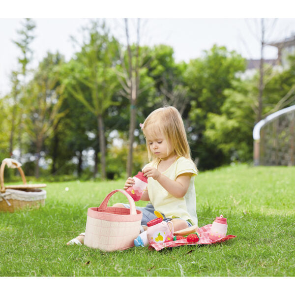 Hape Picnic Set