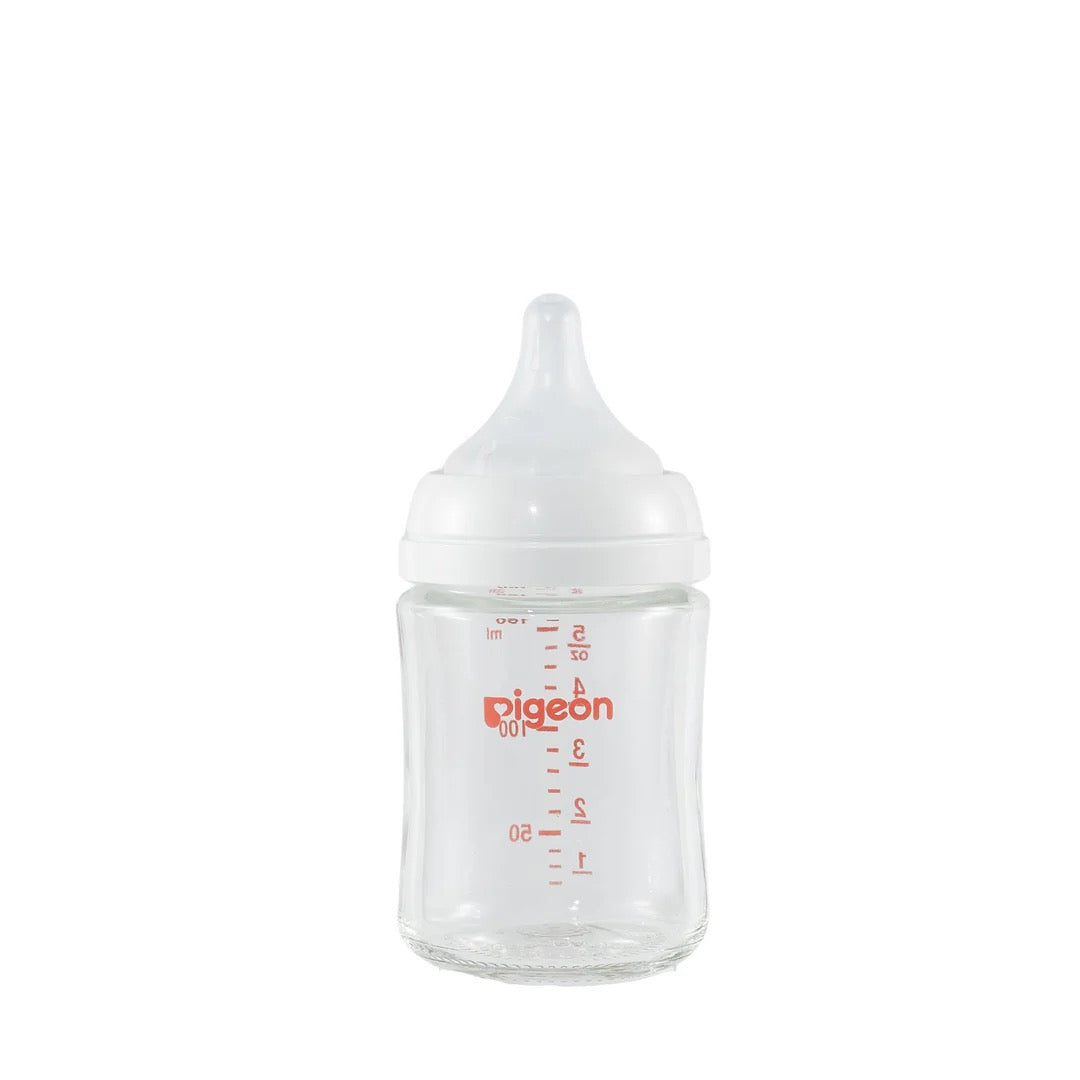 Pigeon Glass Bottle 5oz with SS Nipple (0M+)