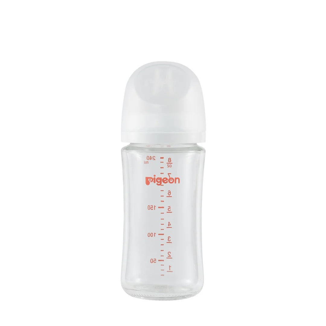 Pigeon Glass Bottle 8oz with SS Nipple (3M+)