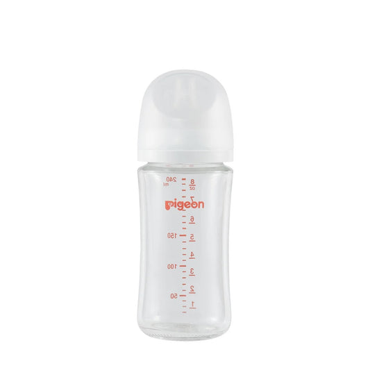 Pigeon Glass Bottle 8oz with SS Nipple (3M+)