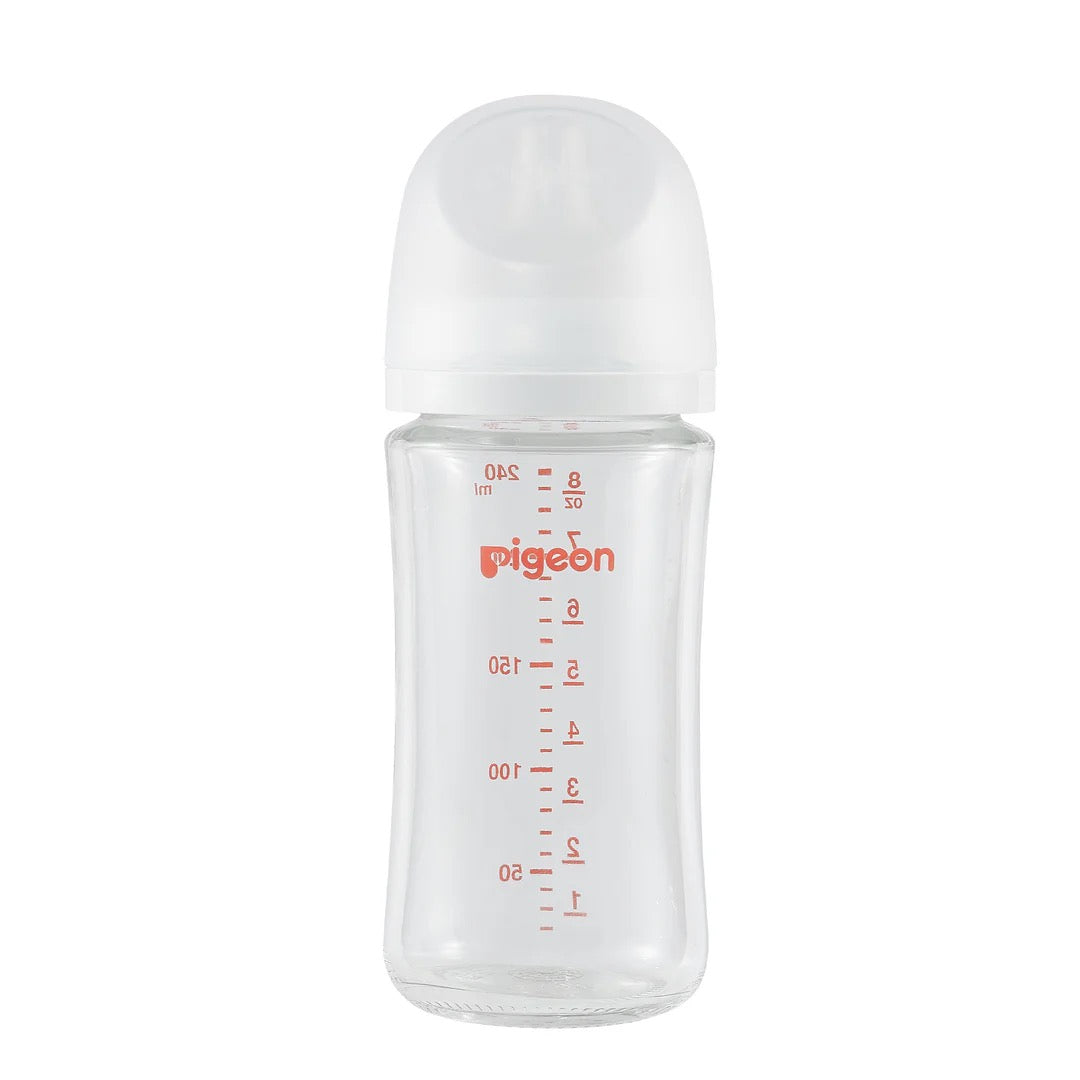 Pigeon Glass Bottle 8oz with SS Nipple (3M+)