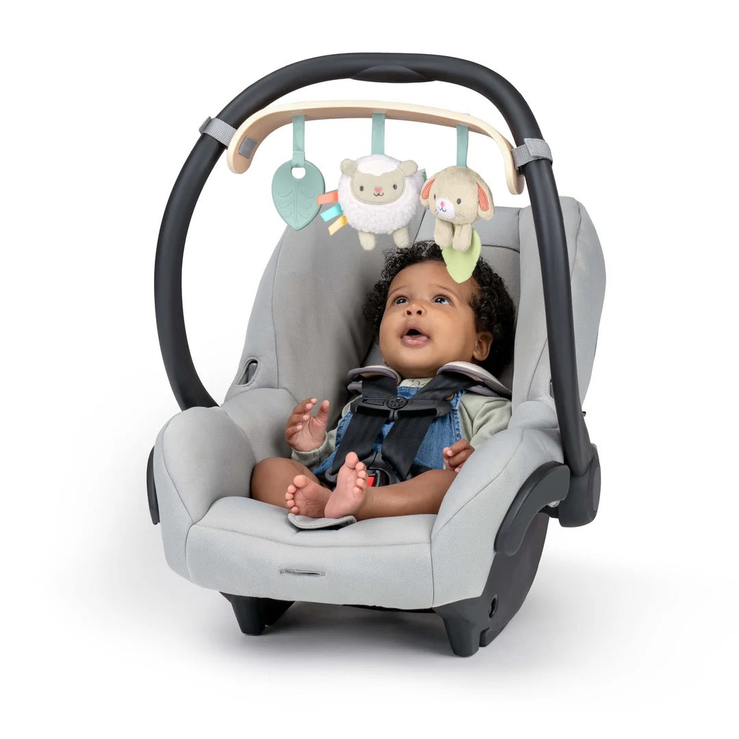 INGENUITY Wonder & Wood Carrier Toybar