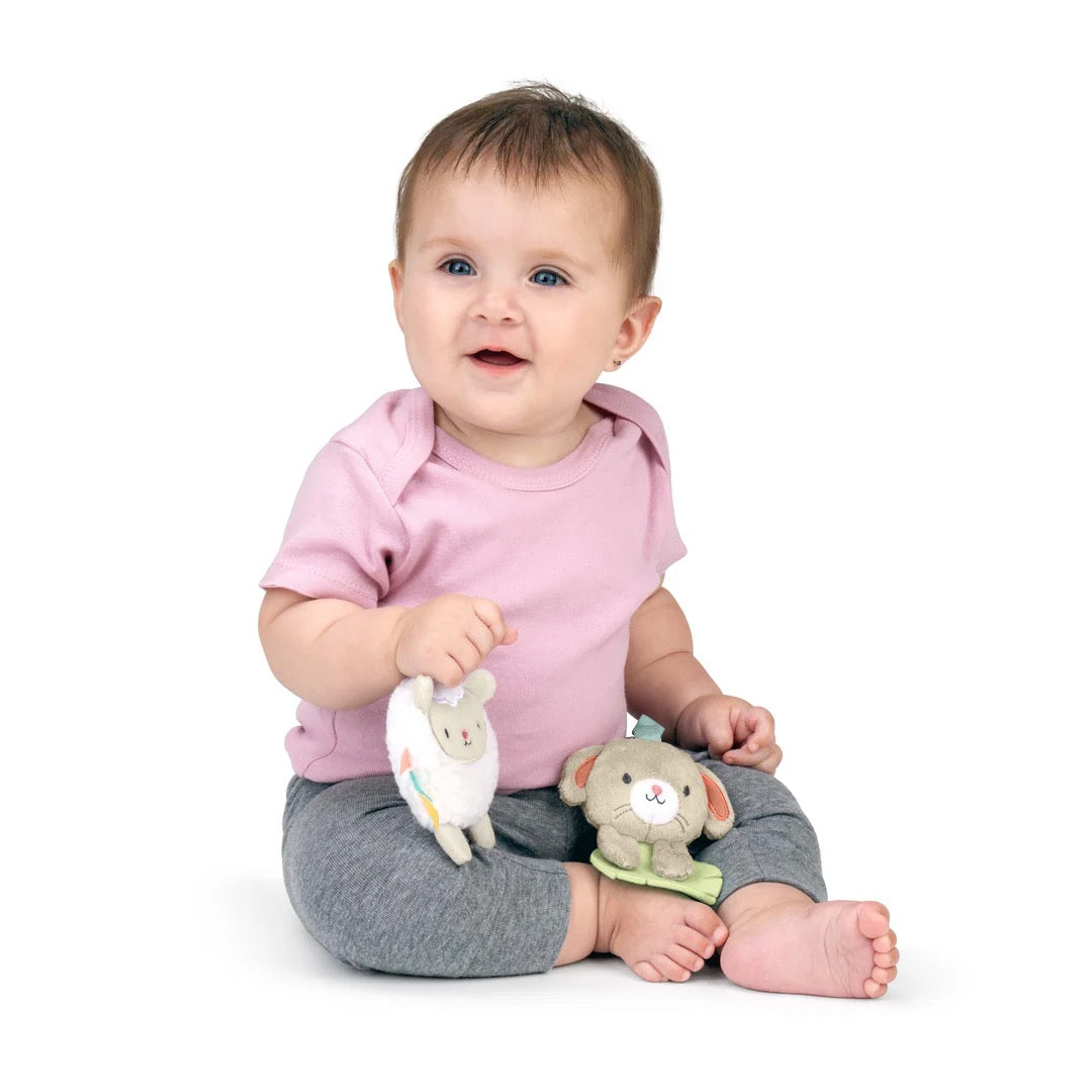 INGENUITY Wonder & Wood Carrier Toybar