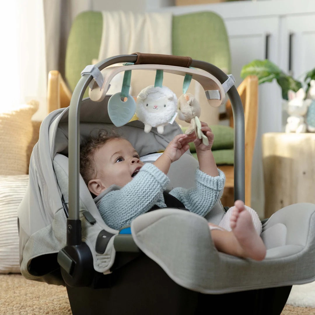 INGENUITY Wonder & Wood Carrier Toybar