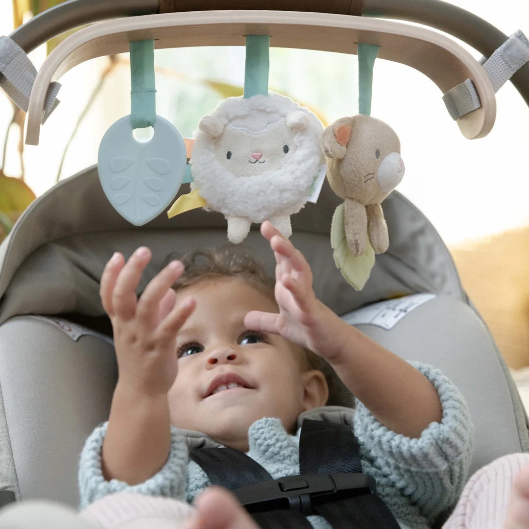 INGENUITY Wonder & Wood Carrier Toybar