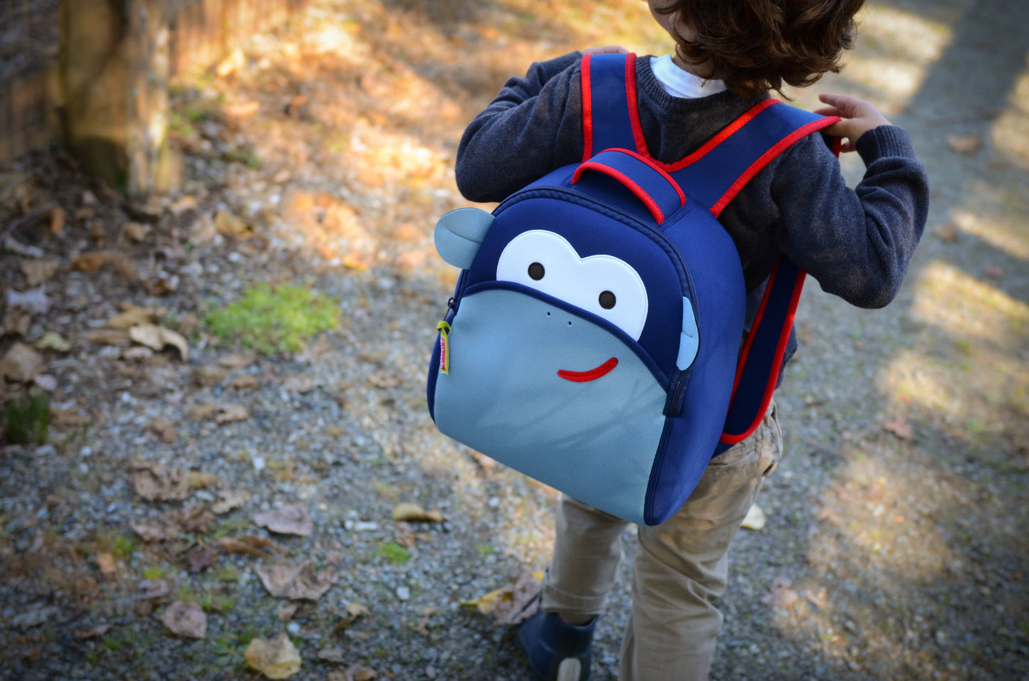 Dabbawalla Machine Washable Preschool Backpack, Blue Monkey