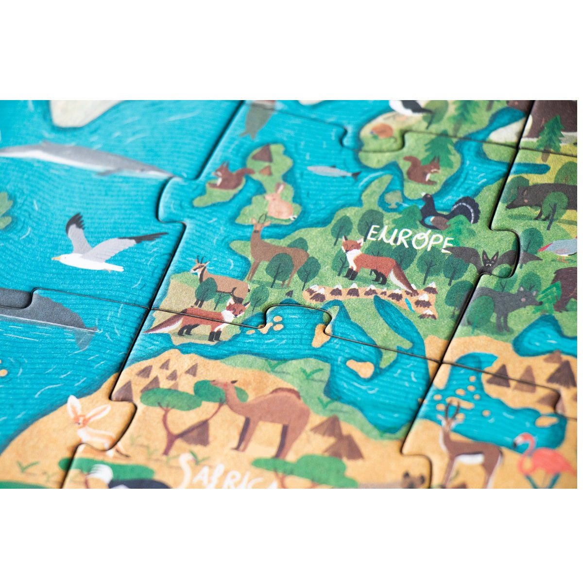 LONDJI Puzzle - Animal Planet