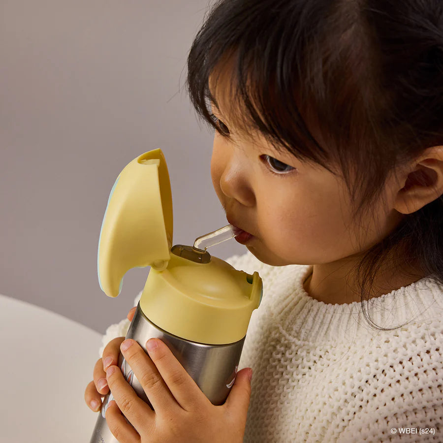 B. BOX Insulated Drink Bottle - 350ml - Looney Tunes