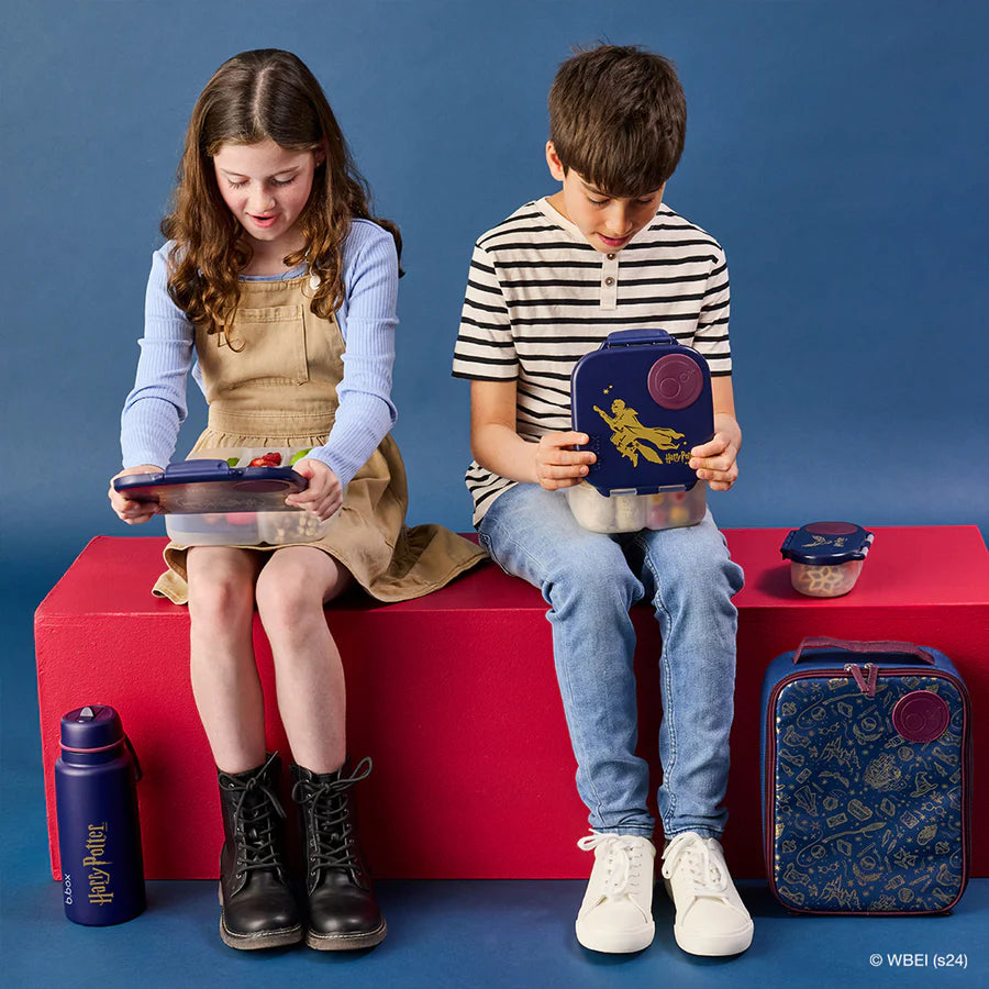 B. BOX Snack Box - Harry Potter