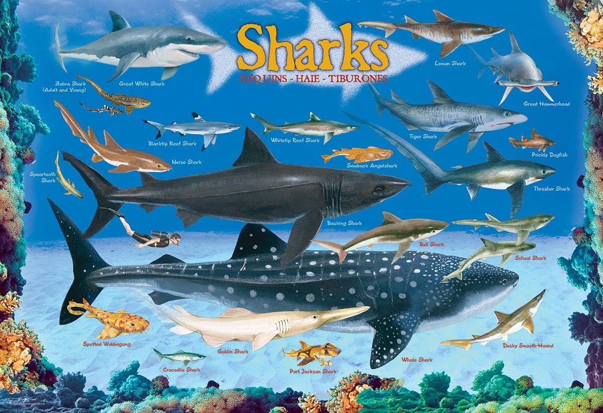 Sharks
