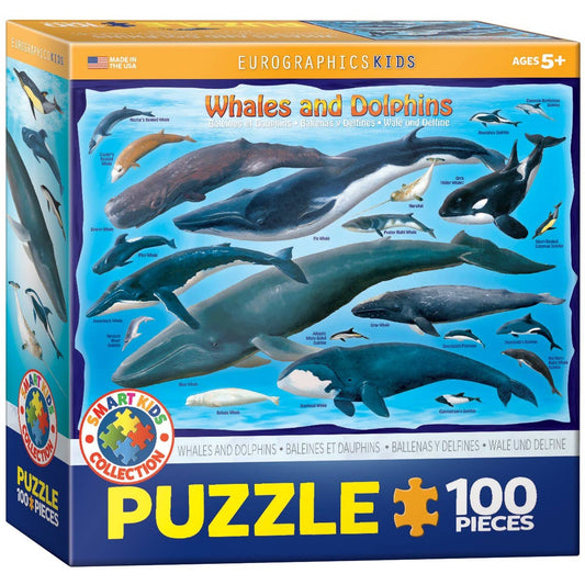 Whales and Dolphins