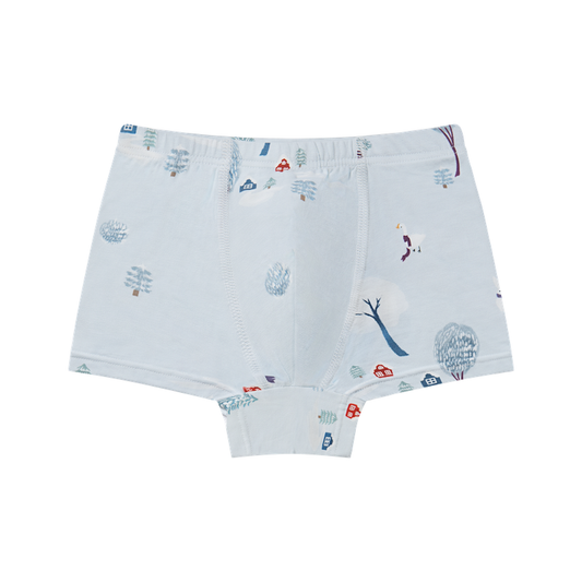 Nest Designs Boy Boxer Briefs (2 Pack) - Winter Fun