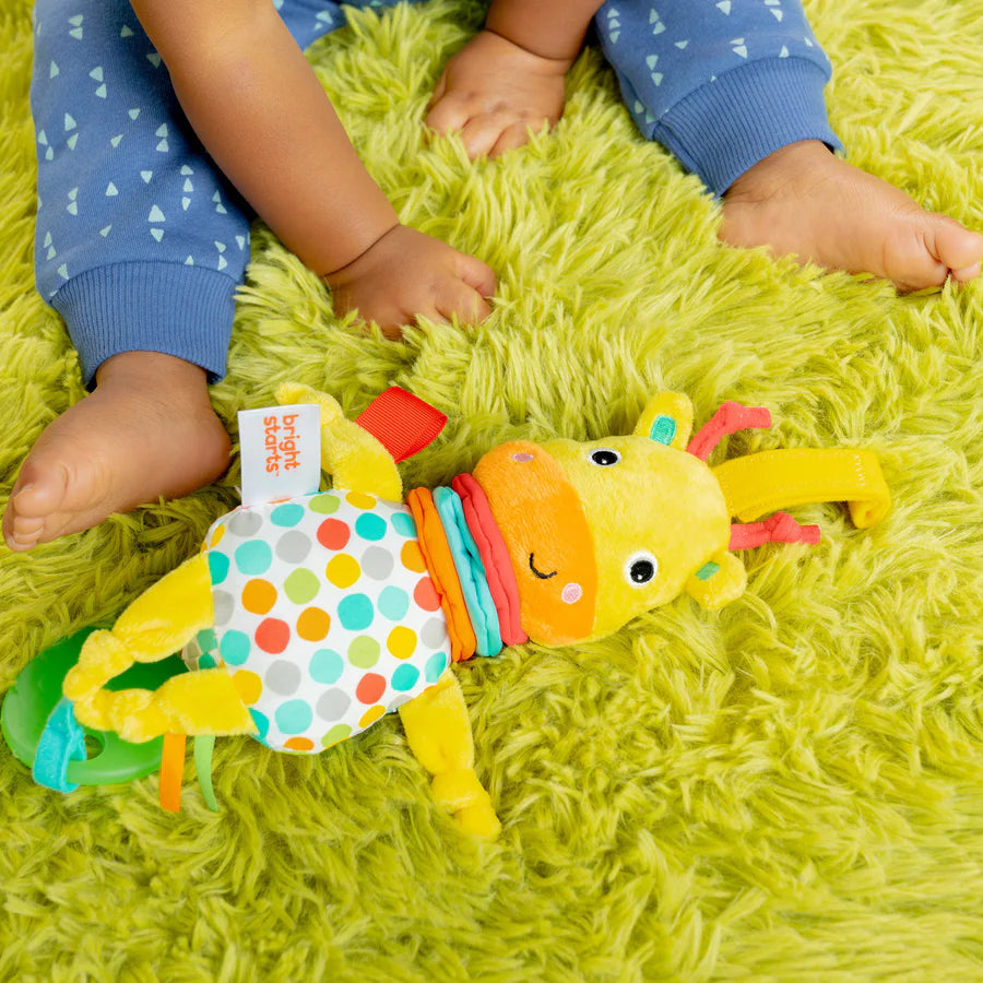 Bright Starts Pull, Play & Boogie™ Musical Activity Toy