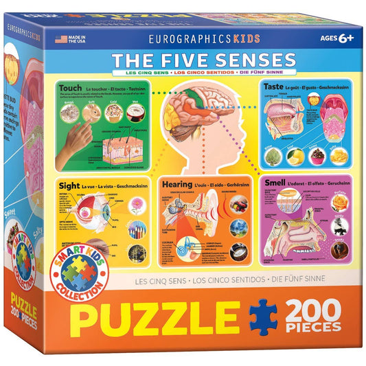 The Five Senses