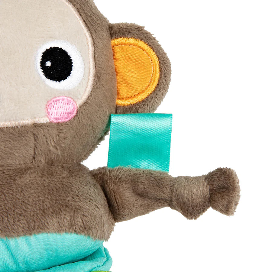 Bright Starts Pull, Play & Boogie™ Musical Activity Toy Monkey