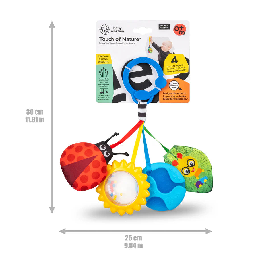 Baby Einstein Touch of Nature Sensory Toy