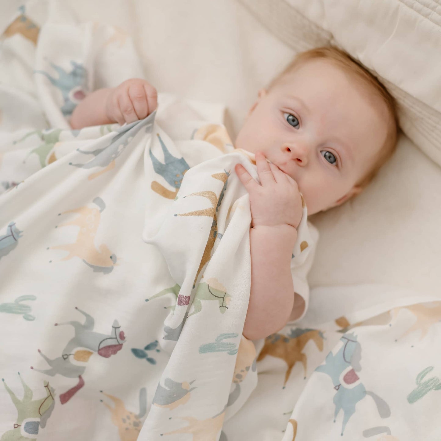 Nest Designs Swaddle Blankie - Pony Express