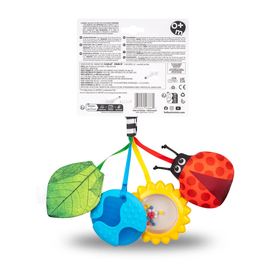 Baby Einstein Touch of Nature Sensory Toy