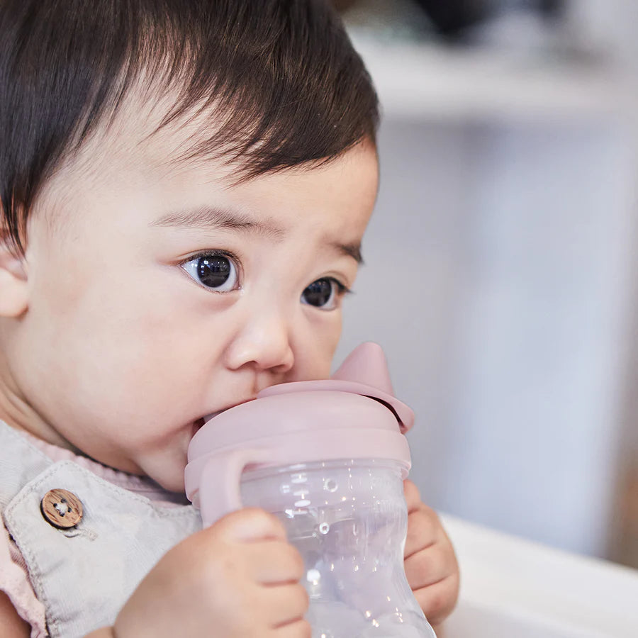 B. BOX  Transition Value Pack