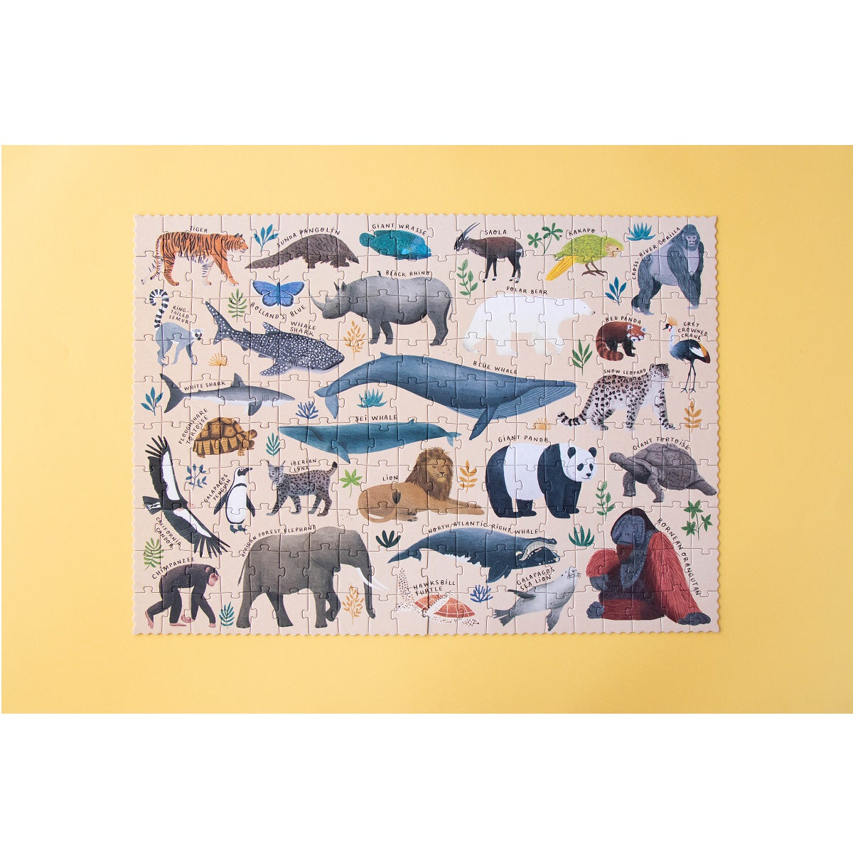 LONDJI Puzzle - Life