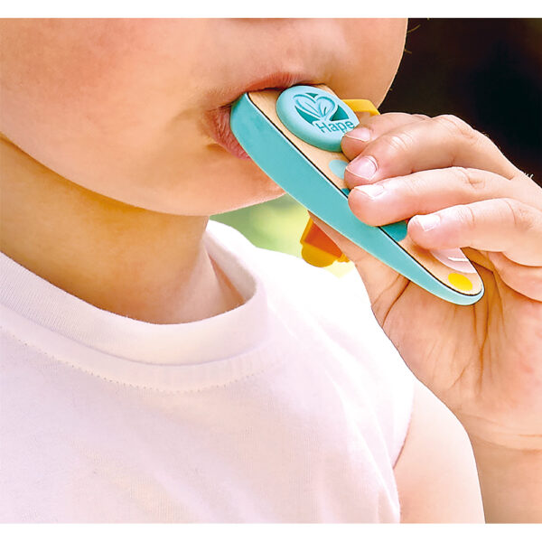 Hape RHYTHM & HUM POCKET KAZOO