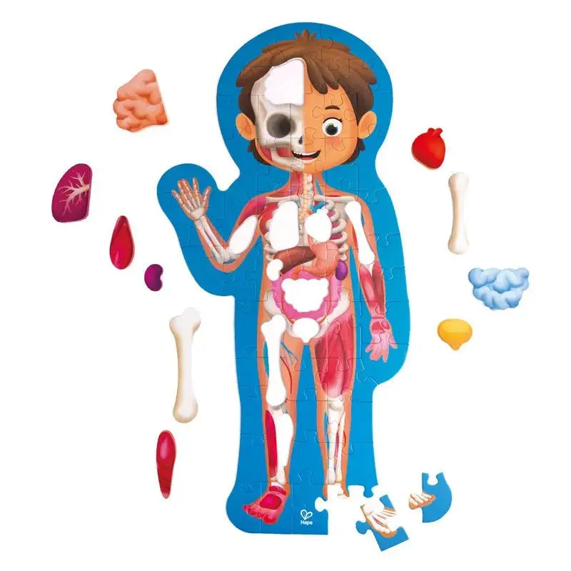 Hape® HUMAN BODY PUZZLE