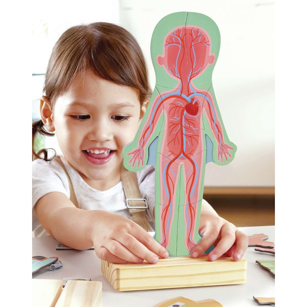 Hape® HUMAN BODY MAGNETIC PUZZLE