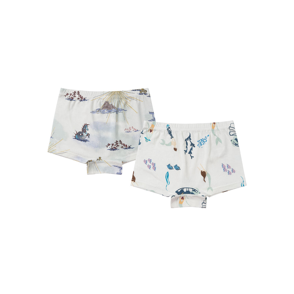 Nest Designs Boxer Briefs Underwear (Bamboo, 2 Pack)