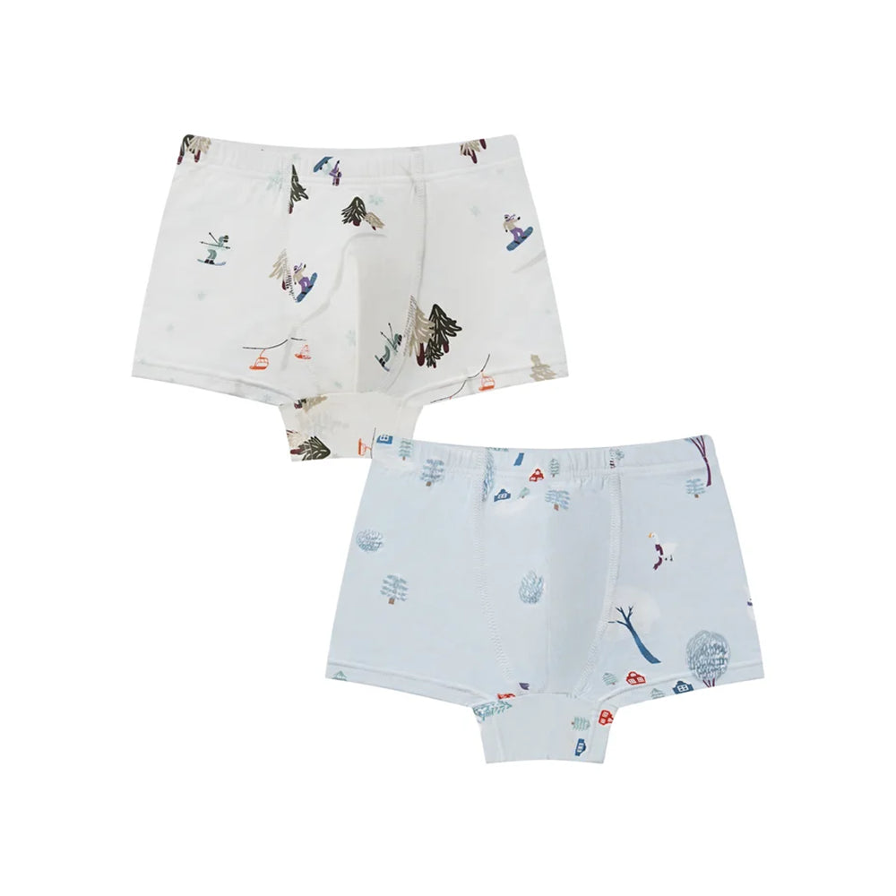 Nest Designs Boxer Briefs Underwear (Bamboo, 2 Pack)