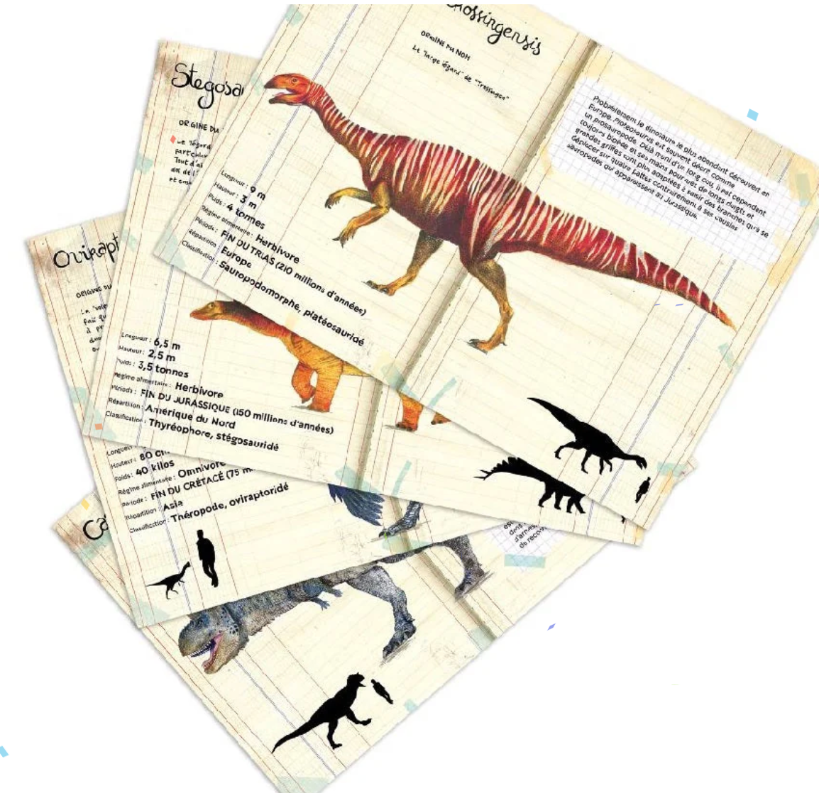 VILAC Museum National dHistoire Naturelle - Dinosaur Magnets