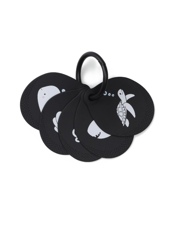 LOULOU LOLLIPOP Flashcards