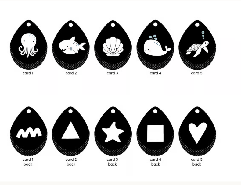 LOULOU LOLLIPOP Flashcards