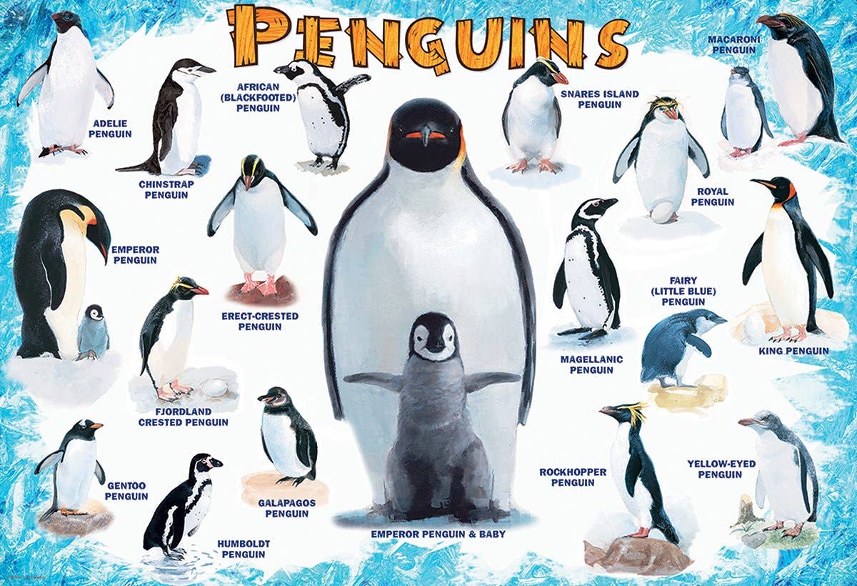 Penguins