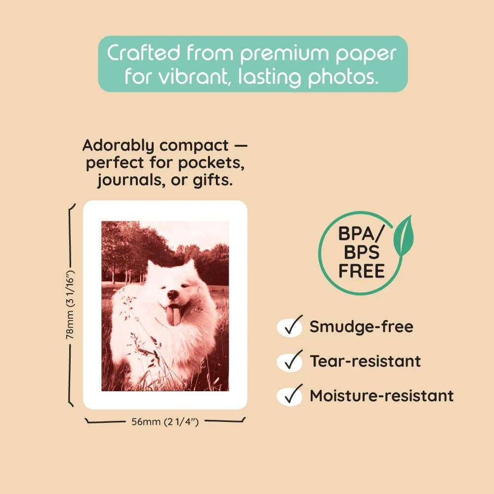 Model P2 Print Pack｜40 Prints