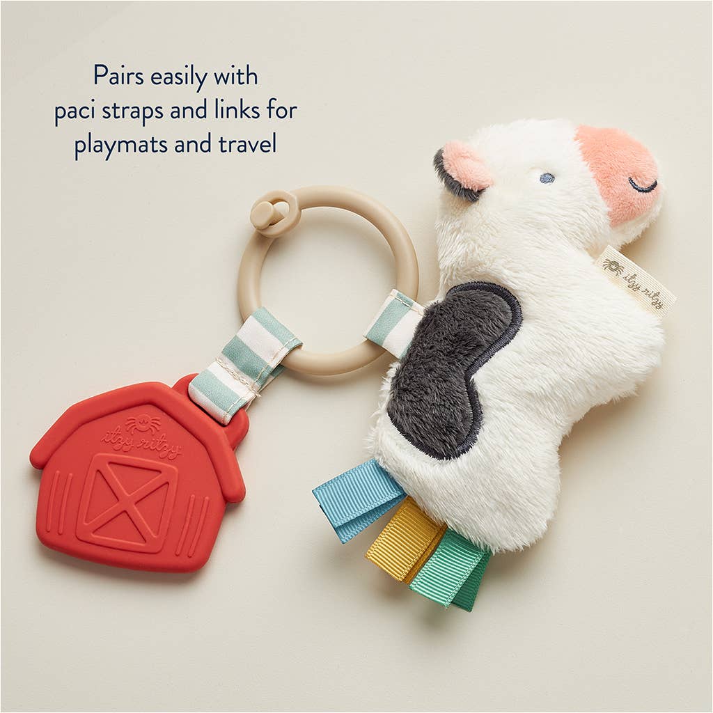 Itzy Pal™ Plush + Teether: Strawberry