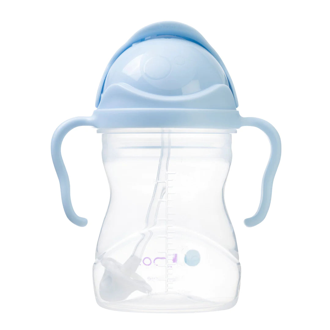 B.BOX SIPPY STRAW CUP 240ml