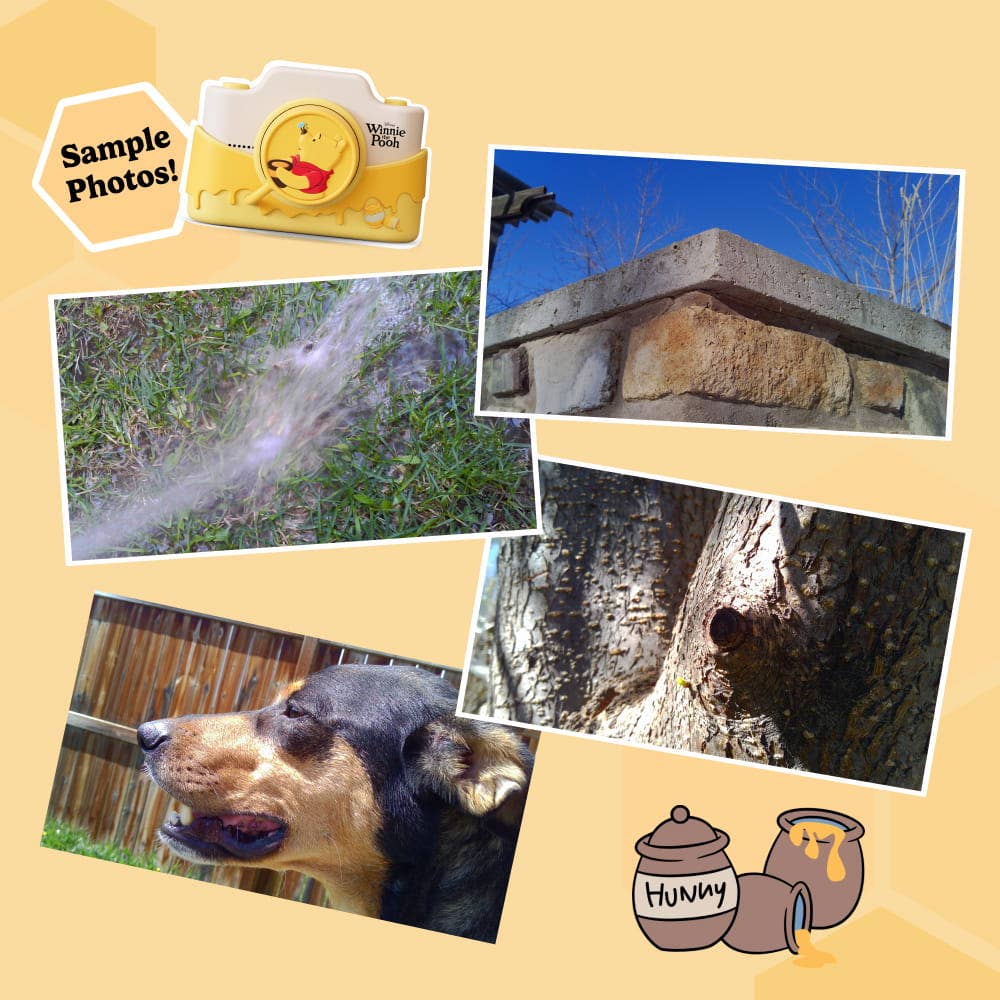 Disney Winnie the Pooh Digital Camera
