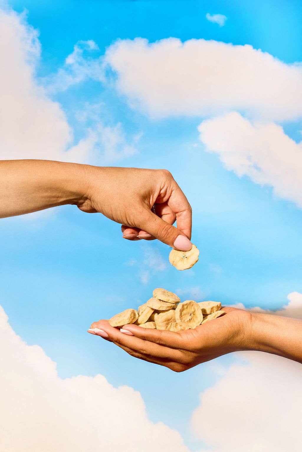 GOLDEN BANANA - FREEZE-DRIED BANANA SLICES (40g)