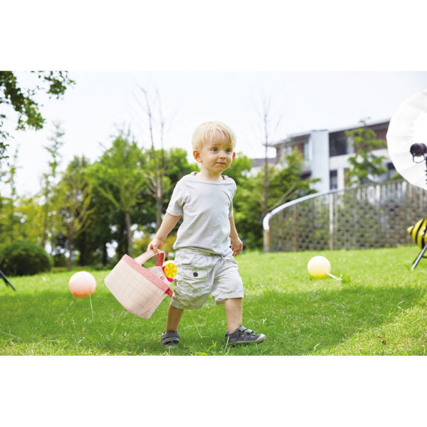 Hape Picnic Set